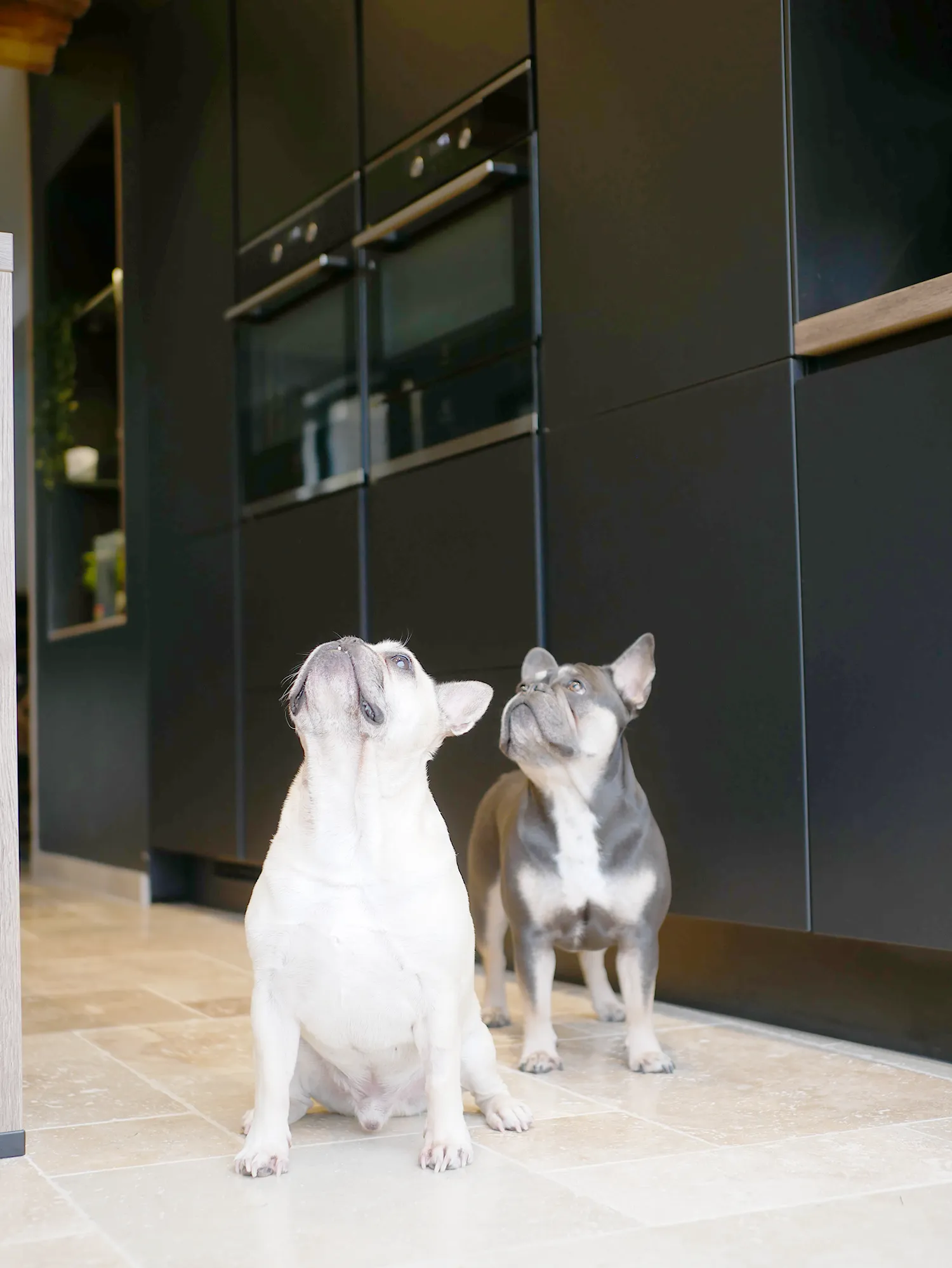 kuchen-dijon-cuisniste-a-quetigny-realisation-2-image-1